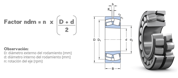 Imagen1